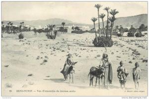 Carte ref. 008. Ane - Beni-Ounif - Vue d'ensemble du bureau arabe