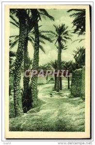 CPA Beni Ounif Palmeraie