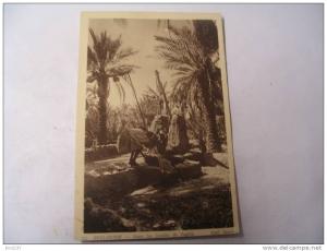 EL- BENI-OUNIF...DANS LES JARDINS DE ZAGHLA.