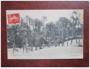 Beni Ounif La palmerale CPA AK