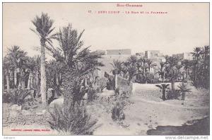 cpa-alg-beni ounif-Le Ksar et la Palmeraie