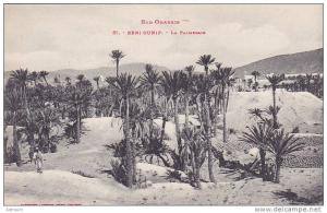 cpa-alg-beni ounif--la palmeraie-lebouche freres