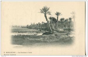 BENI-OUNIF  -  LA ZOUSFANA A TARLA