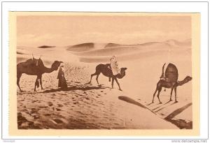 BENI OUNIF - ALGERIE - A TRAVERS L'ETERNEL SILENCE - CHAMEAU - ANIMATION