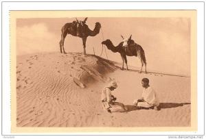 BENI OUNIF - ALGERIE - CHAMELIERS AU DESERT DANS LE GRAND ERG - CHAMEAU - BELLE ANIMATION