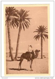 BENI OUNIF - ALGERIE - MOKAZENI EN TOURNEE DE SURVEILLANCE - CHAMEAU - ANIMATION