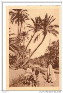 BENI OUNIF - ALGERIE - UN COIN D'EAU DANS L'OASIS - ANIMATION