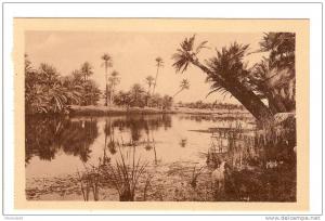 BENI OUNIF - ALGERIE - UN JOLI COIN DE RIVIERE