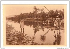 BENI OUNIF - ALGERIE - LA RIVIERE AUX ABORDS DE L'OASIS - ANIMATION