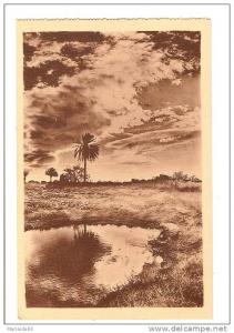 BENI OUNIF - ALGERIE - EFFET DE NUAGES - PETITE ANIMATION