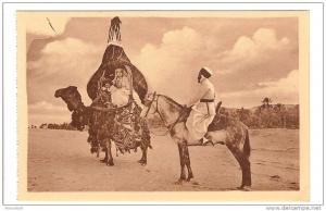 BENI OUNIF - ALGERIE - AGREABLE RENCONTRE - CHAMEAU