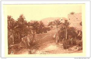 BENI OUNIF - ALGERIE - UN COIN DE LA PALMERAIE ET DU KSAR