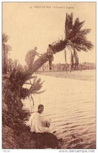 ALGERIE  BENI-OUNIF L'Oued à Taghla