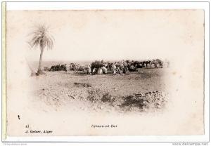Algerie Sahara Oranais Caravane Chameaux DJENAN ed DAR env. Béni Ounif CPA 1890s GEISER 41 Algeria Algerien Argelia
