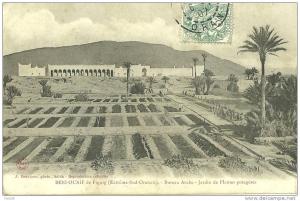 ALGERIE.BENI-OUNIF DE FIGIG.BUREAU ARABE. JARDIN DE PLANTES POTAGERES.
