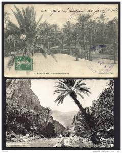 LOT 2 CPA  ANCIENNES-  ALGÉRIE- PHOTO GORGES ET OUED ANIMÉS- BENI-OUNIF  LA PALMERAIE