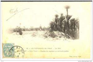 BENI OUNIF - Les Evènements de Figuig - Cavalier du Maghzen