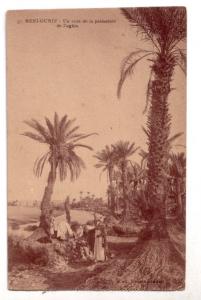 37  -   BENI - OUNIF