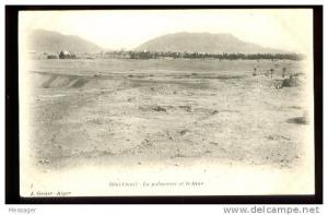 BENI-OUNIF - 1  La Palmeraie et le Ksar - (Beau plan)