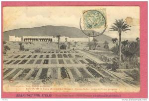 BENI-OUNIF de Figuig (Extrème Sud Oranais). - Bureau Arabe - Jardin de Plantes potagères