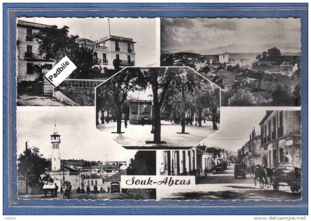 Carte Postale Algérie  Souk-Ahras très beau plan