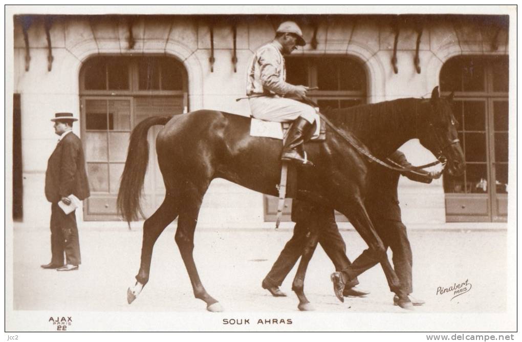 HIPPISME - Souk Ahras