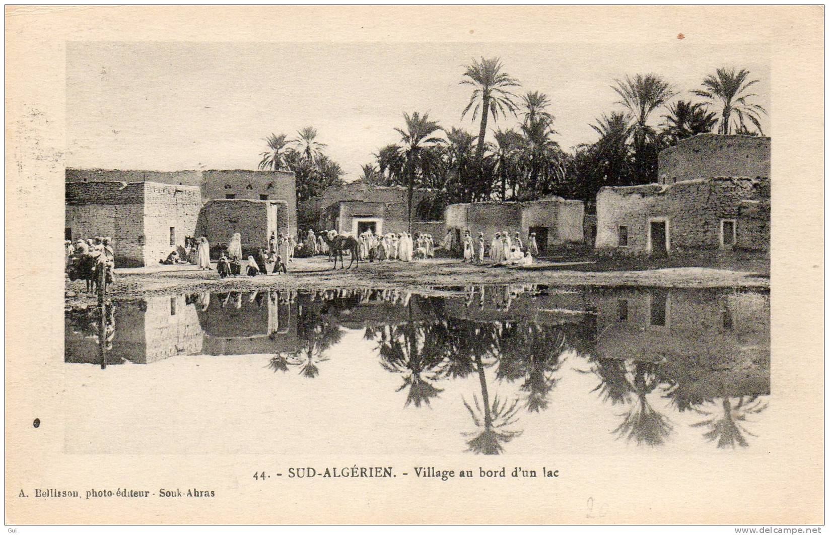 Afrique-ALGERIE- Sud Algérien - Village au bord d´un lac  (Bellisson photo éditeur Souk Ahras n° 47)