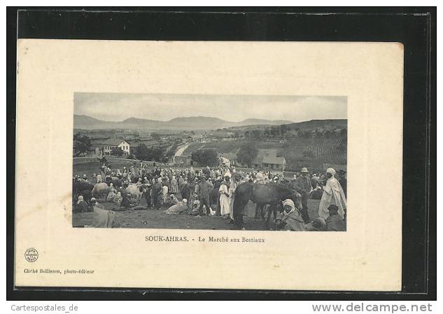 CPA Souk-Ahras, Le Marche aux Bestiaux