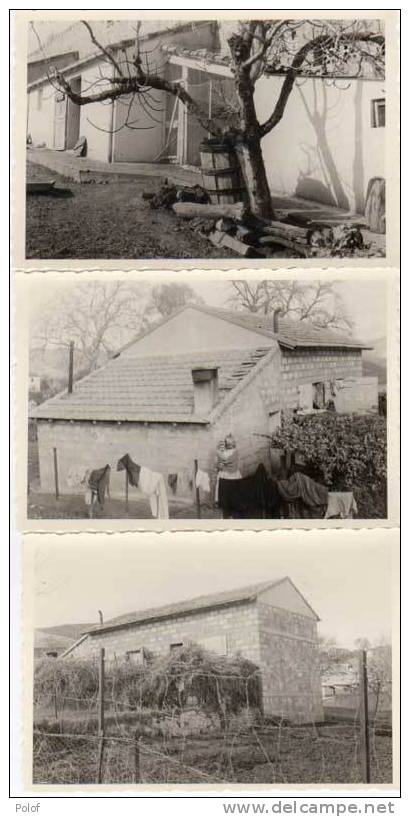 AIN-SEYNOUR arrondissement de Souk Ahras (Algerie) 3 Photos de maisons   (27993)