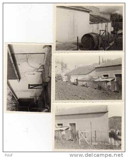 AIN-SEYNOUR arrondissement de Souk Ahras (Algerie) 4 Photos de maisons   (27992)