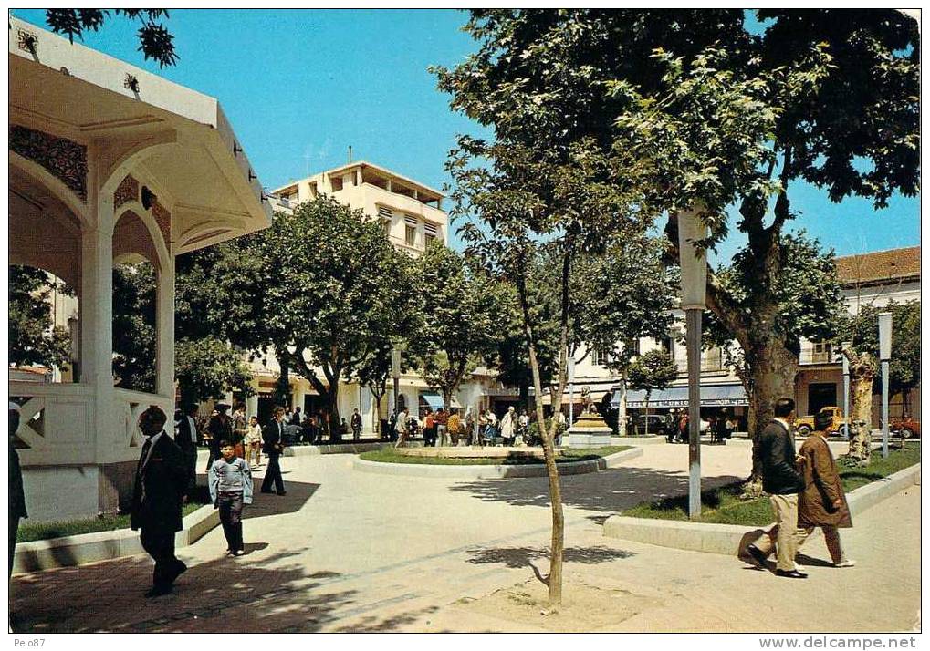 CPM/CPSM   Souk Ahras Place de l'independance   (animée)   Z1603