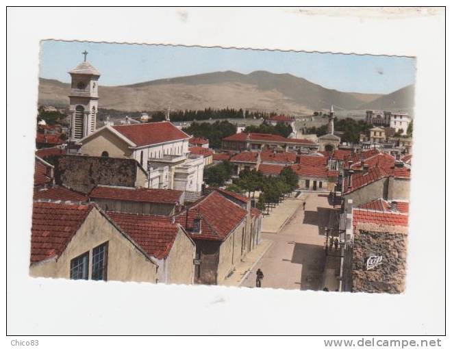 ALG.39  ALGERIE  /  SOUK - AHRAS  /  Vue sur l'Eglise et sur la Mosquée