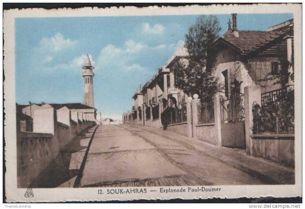 CPA Algérie SOUK-AHRAS ESPLANADE PAUL-DOUMER ALGERIA NORD AFRIQUE CARTE POSTALE