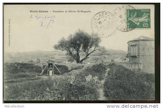 ALGERIE SOUK-AHRAS /  Poudrière et olivier St Augustin  /
