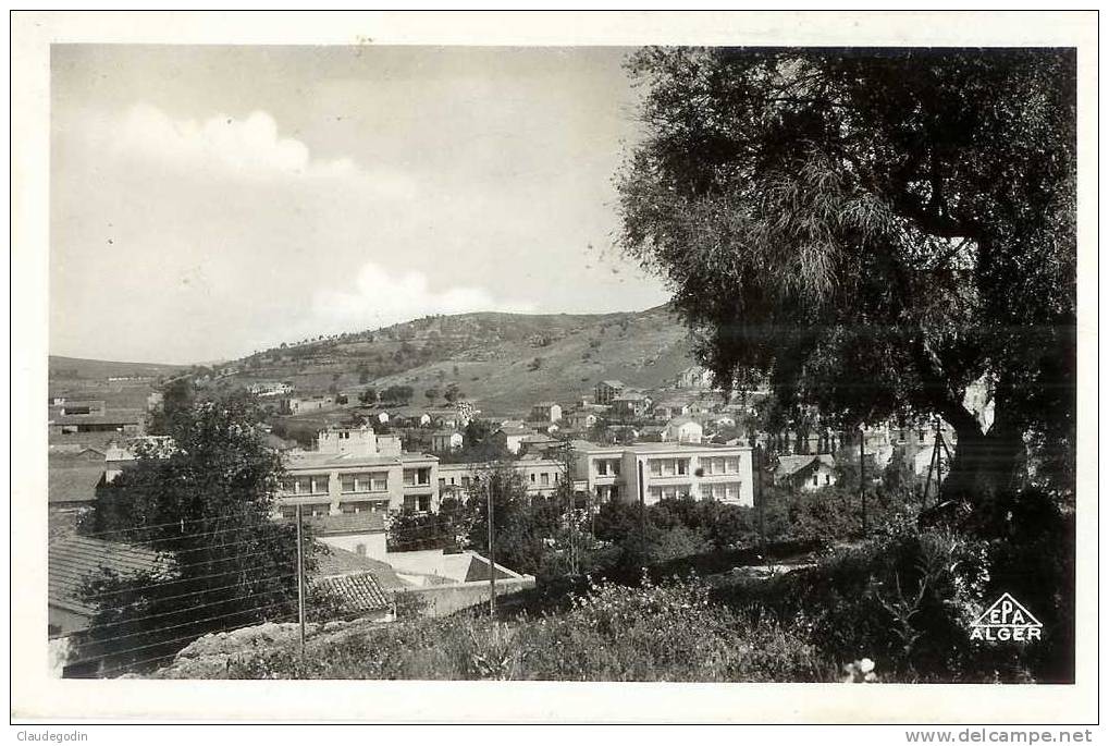 Souk Ahras. (Algérie) Vue partielle et Olivier Saint Augustin. CPSM pt format . Peu courante.