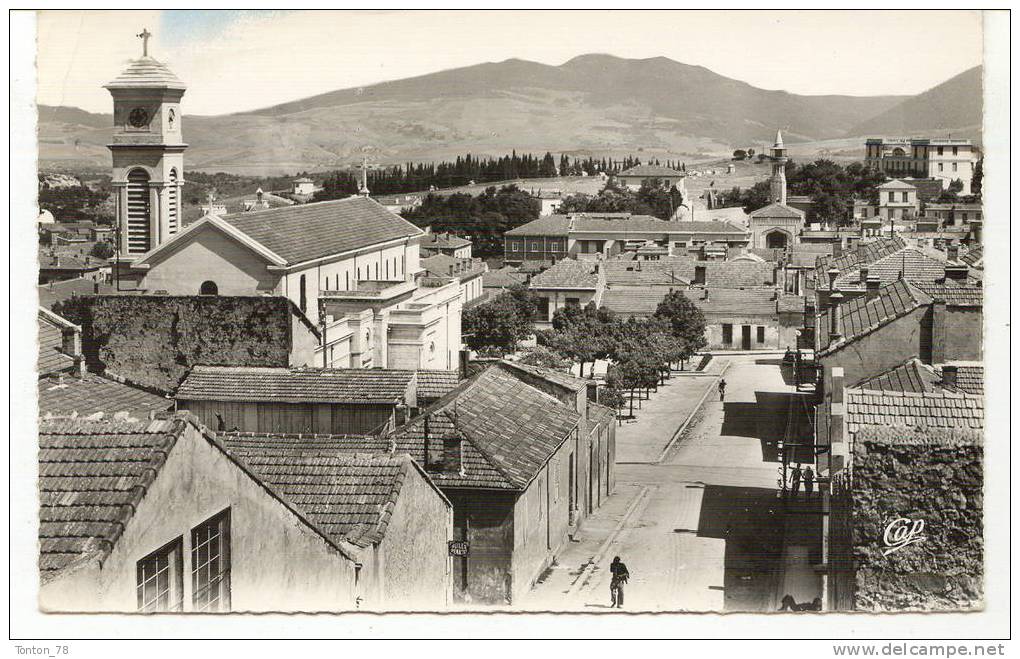 CPSM FORMAT CPA  SOUK-AHRAS   VUE SUR L'ÉGLISE ET SUR LA MOSQUÉE