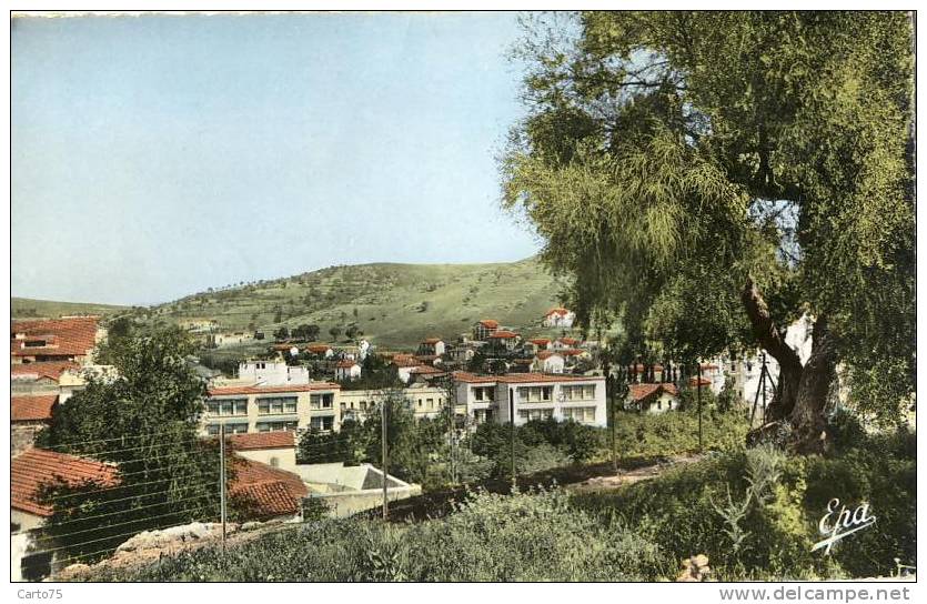 ALGERIE - SOUK-AHRAS - Vue générale - Olivier Saint-Augustin