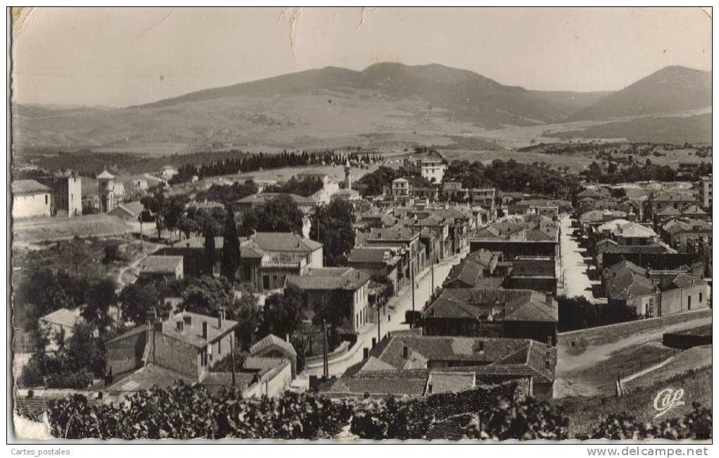 SOUK-AHRAS - Vue générale