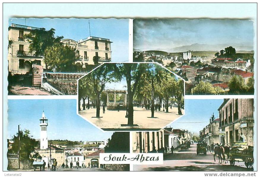 SOUK - AHRAS / Thagaste