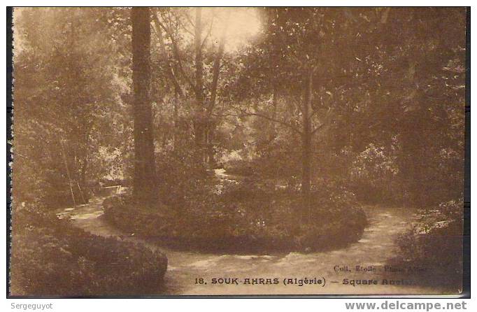 Souk-Ahras  square ancien - (c1038)