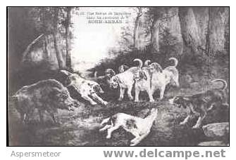 UNE BATTERIE DE SANGLIERS DANS LES ENVIRONS DE SOUK-AHRAS CPA RARISIME TOP CARTE NEUVE DOGS PERROS JABALI