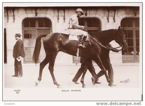 CHEVAL COURSE SOUK AHRAS