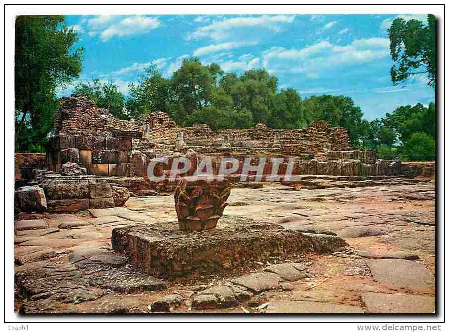 CPM Algerie Tipaza Ruines Romaines