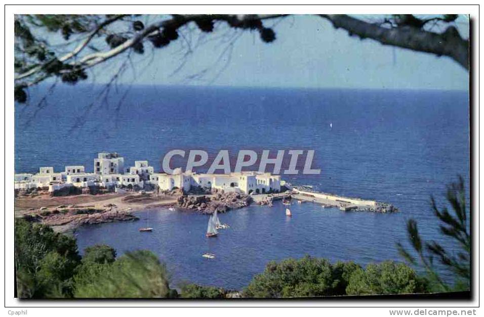 CPA Tipaza Vue Prise De La Colline romische Ruinen Algerie