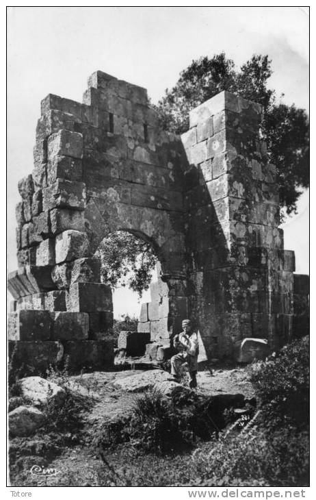 TIPAZA - Vestiges des Ruines Romaines
