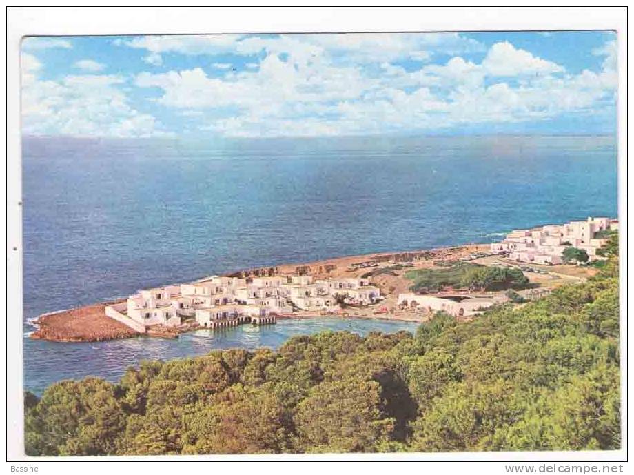 CPM 10*15/Y711/TIPAZA COMPLEXE TOURISTIQUE 1983