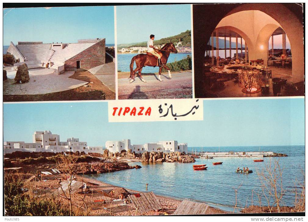 PORT GRATUIT    8350   TIPAZA