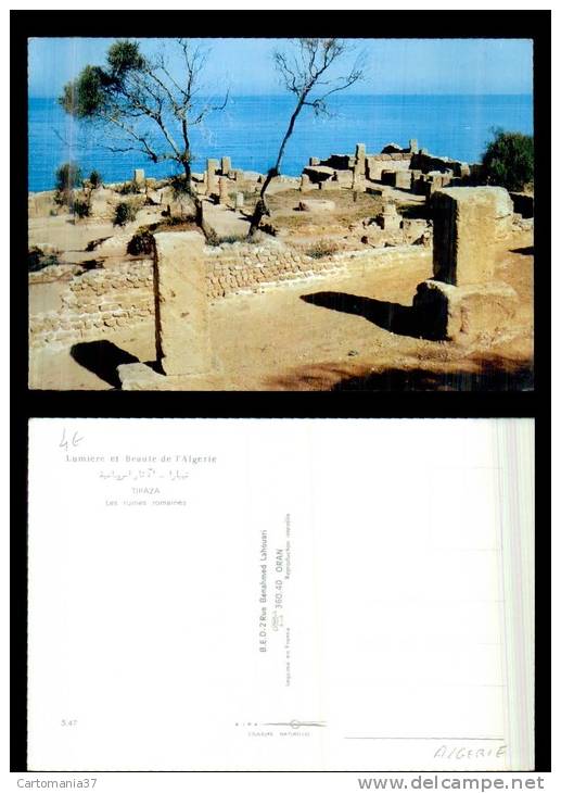 afrique-2530  tipaza algerie