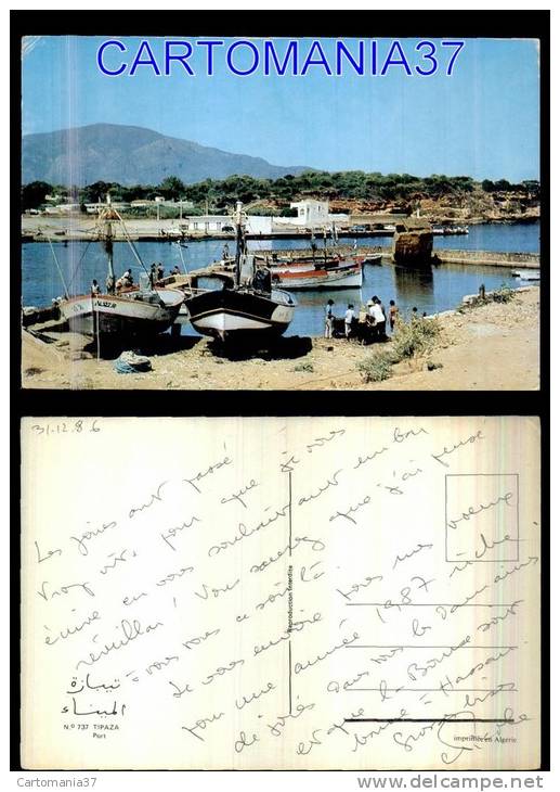 afrique-1386      algerie tipaza port
