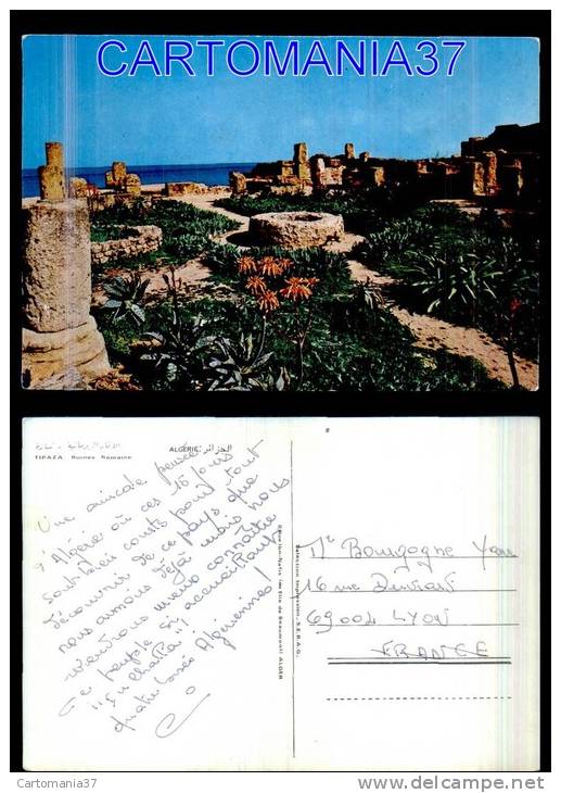 afrique-1385      algerie tipaza ruines